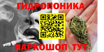 дживик Канаш