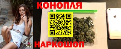 стаф Камышлов