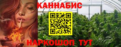 стаф Камышлов