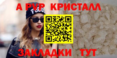 стаф Камышлов